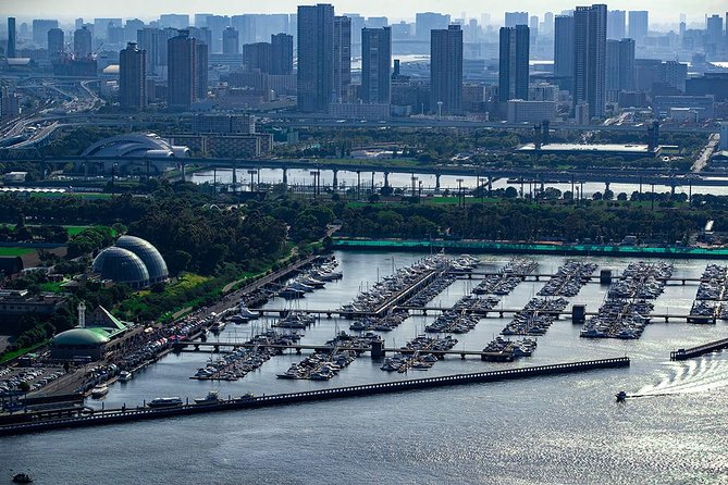 [10 Minutes] Tokyo Day Tour: Helicopter Flight Over Tokyo Bay - Inclusions