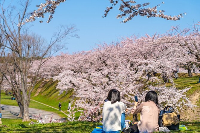 4 Hour Private Cherry Blossom "Sakura" Experience in Nagasaki - Cherry Blossom Sakura Experience Overview