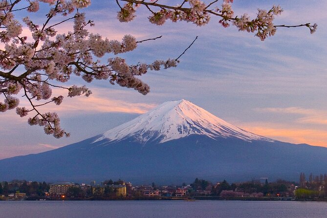 7-Day Guided Tour in Tokyo, Mount Fuji, Kyoto, Nara and Osaka - Tour Highlights