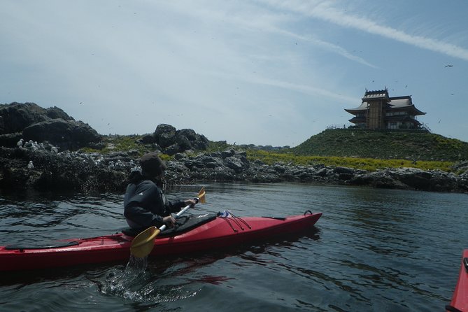 A Sea Kayak Tour of Kabushima Island, the Home of 30,000 Black-Tailed Gulls