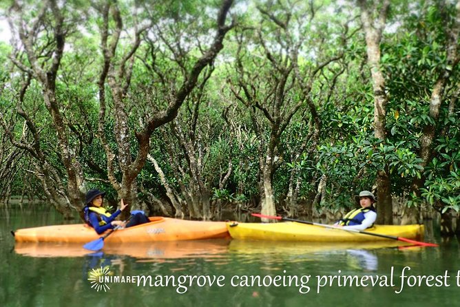 Amami Mangrove Canoe - Inclusions and Services
