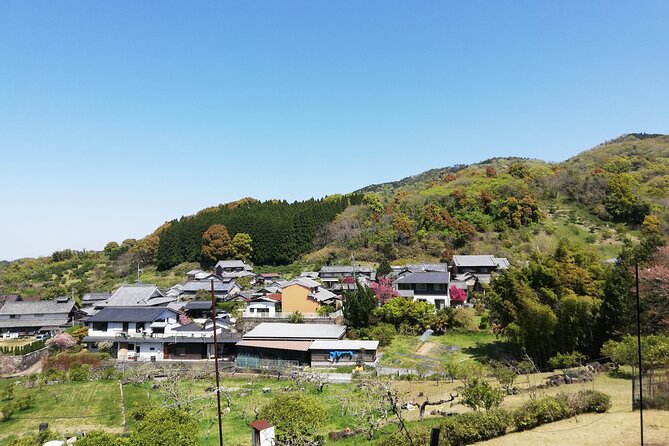 Ancient Nara Walking and Cycling Tour in Asuka