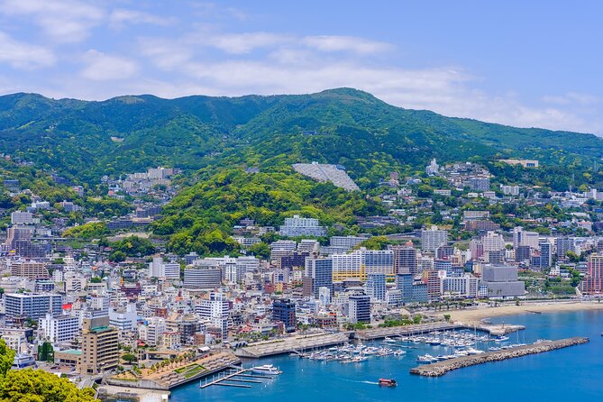 Atami Full-Day Private Tour With Government-Licensed Guide - Common questions