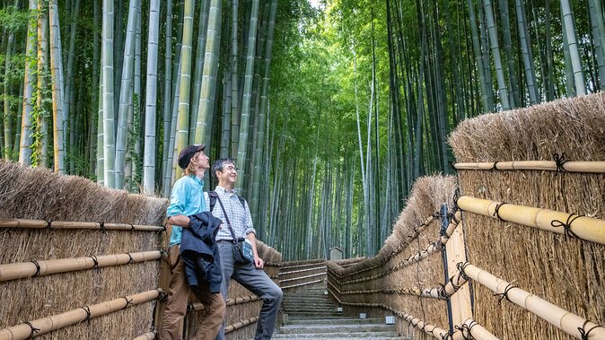 City Escape: Arashiyama Park Private Day Trip - Trip Overview