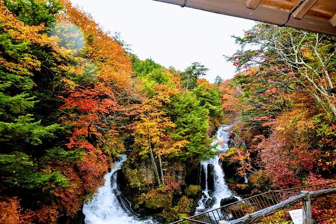 Daytrip to Nikko From Tokyo With Local Japanese Photograher Guide - Nikko: A Beautiful Daytrip Destination