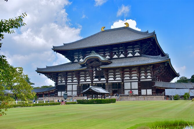 Eigo Tour - Walk in Nara City - Overview and Inclusions