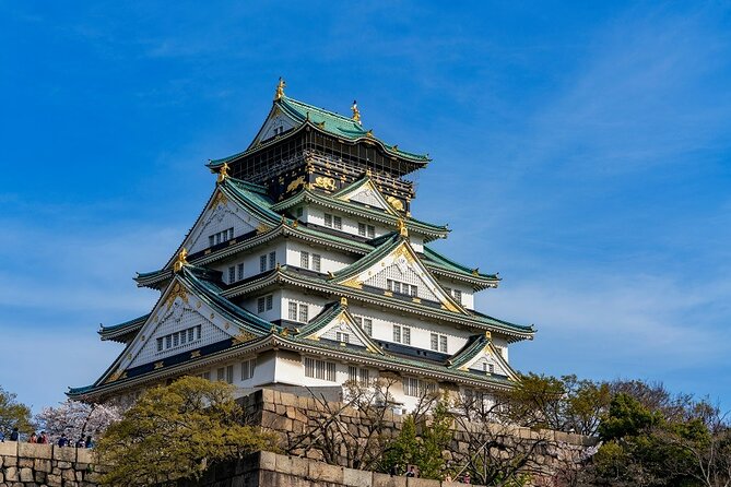 Explore Osaka Hotspots in 1 Day Walking Tour From Osaka - Tour Meeting Point and Time