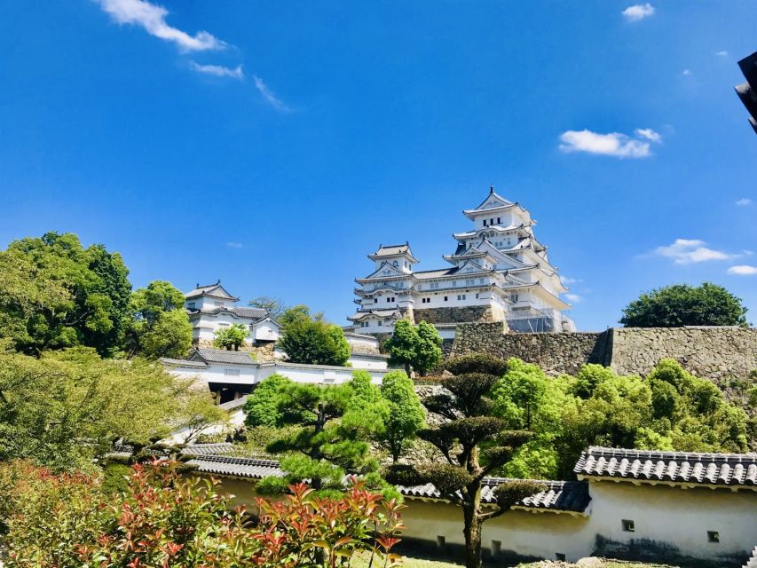 From Osaka: Himeji Castle, Arima Onsen, & Mt. Rokko Day Trip - Activity Details