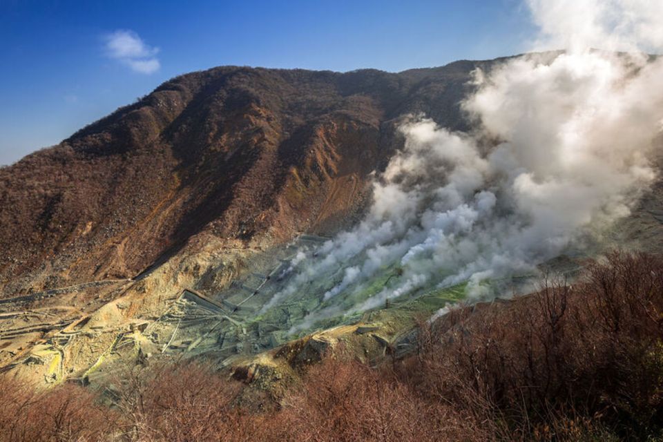 From Tokyo: Hakone and Owakudani Private Day Trip - Cancellation and Reservation Details