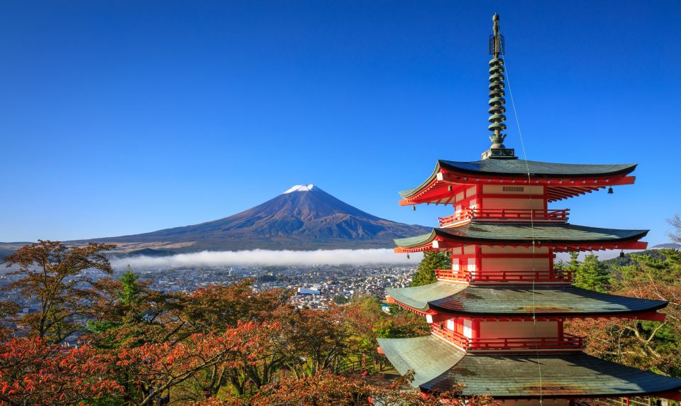 From Tokyo: Mt. Fuji or Hakone Private Sightseeing Day Trip - Experience Highlights
