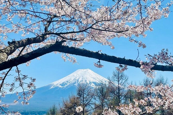 Full-Day Guided Private Tour in Mountain Fuji - Pricing and Booking