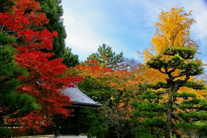 Full Day Hidden Kyotogenic for Autumn Tour in Kyoto - Tour Overview