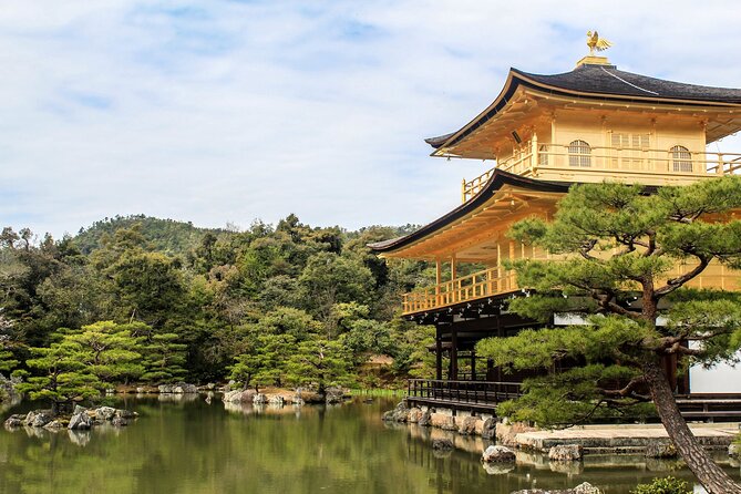 Full Day Kyoto and Nara Guided Tour - Lowest Price Guarantee