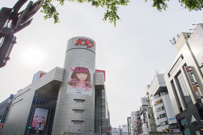 Full-Day Private Tour in New Shibuya