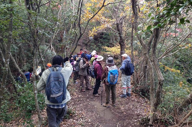 Granite Obelisk in Yakushima Full-Day Trekking Tour - Tour Highlights