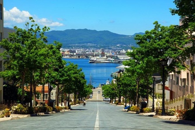 Hakodate Full-Day Private Tour With Government-Licensed Guide - Tour Details