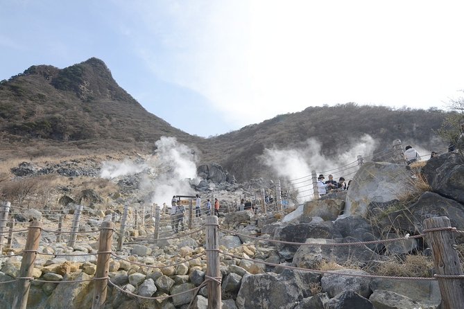 Hakone 8 Hour Private Tour With Government-Licensed Guide - Tour Details