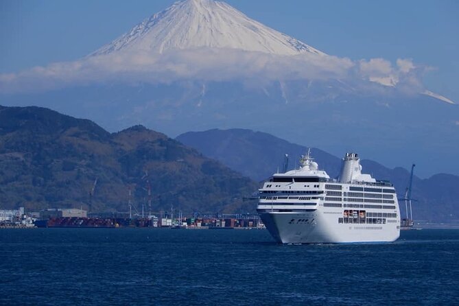 Half Day Private Sightseeing Tour Around Shimizu Port - Tour Inclusions and Exclusions