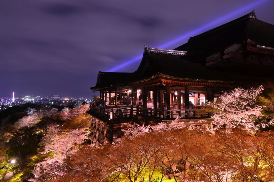 Higashiyama Kyoto: Sakura Season Private Rickshaw Tour - Activity Details