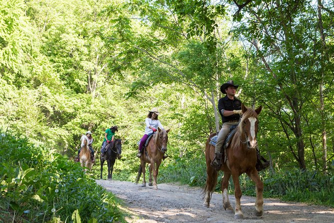 Horseback-Riding in a Country Side in Sapporo - Private Transfer Is Included - Pricing and Guarantee