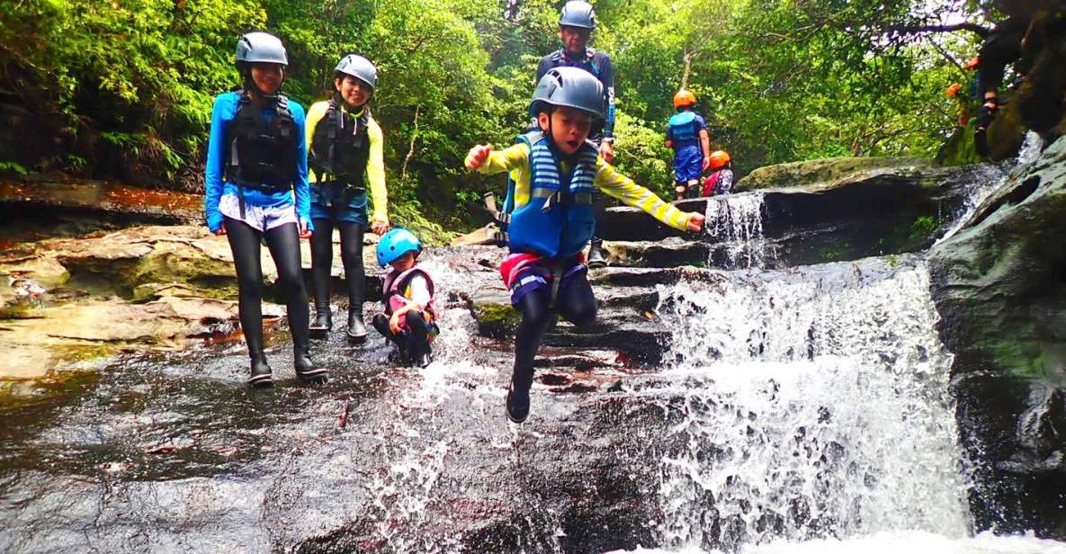 Iriomote Island: Kayaking and Canyoning Tour - Activity Details