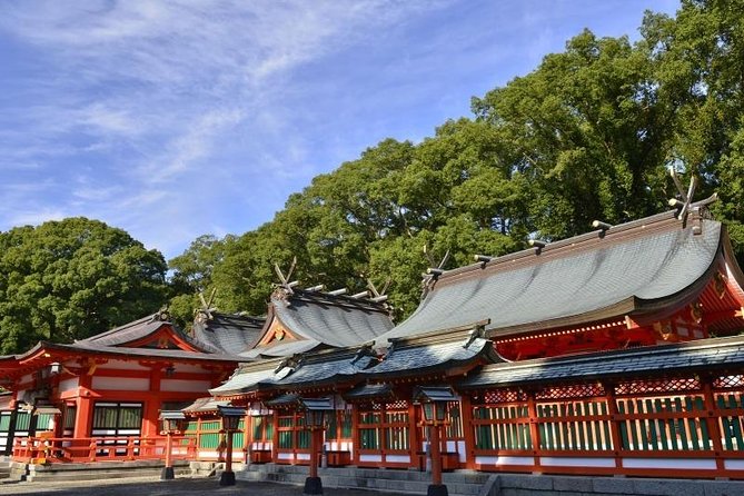 Kumano Kodo Pilgrimage Full-Day Private Trip With Government Licensed Guide - Tour Highlights and Itinerary Options