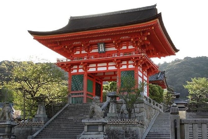 Kyoto and Nara 1 Day Trip - Golden Pavilion and Todai-Ji Temple From Kyoto - Pricing and Value