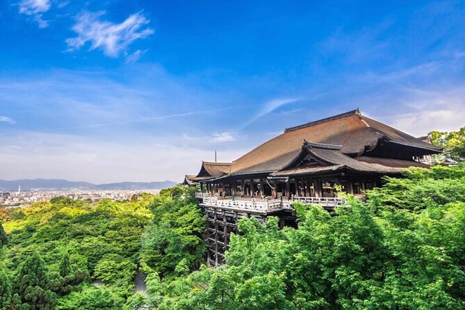 Kyoto, Osaka, Nara Full Day Tour by Car English Speaking Driver - Inclusions and Vehicle Information