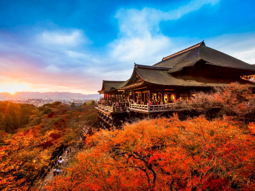 Kyoto: Top Highlights Full Day Trip - Fushimi Inari Shrines Vermillion Gates
