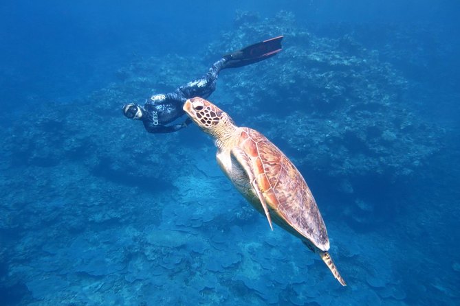 [Miyakojima, Diving Experience] Completely Charter for 2 People. Sometimes Encounter Sea Turtles and Sharks