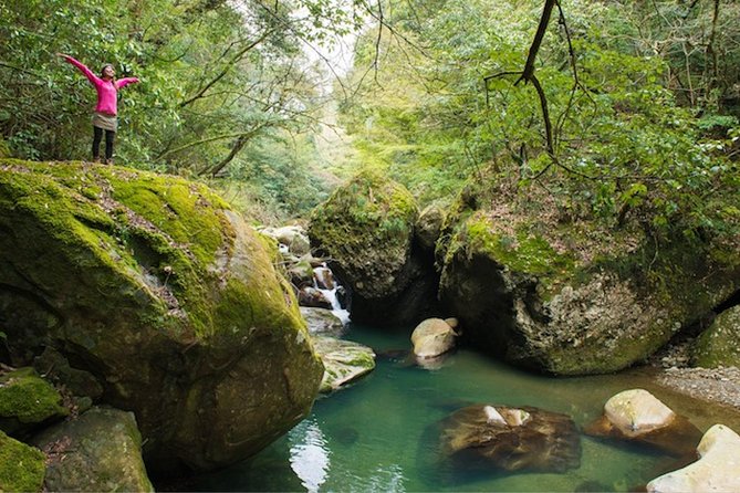 Miyazaki Valley Waterfall Hike - Cancellation Policy
