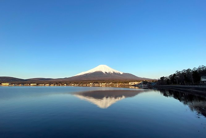 Mt Fuji Full-Day Tour By Car - Tour Overview
