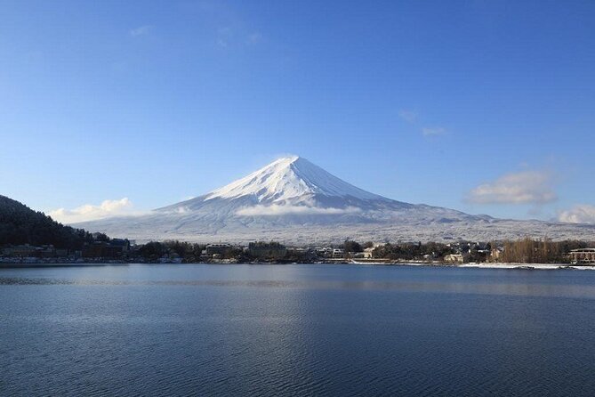 Mt. Fuji & Hakone 1 Day Bus Tour From Tokyo Station Area - Pricing and Value