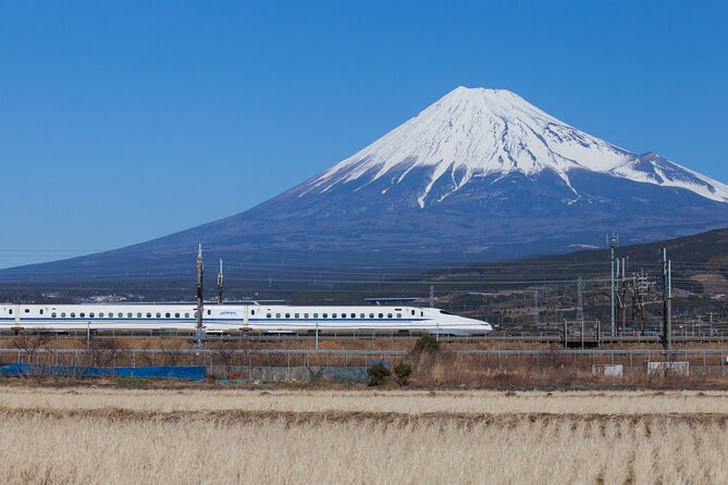 Mt. Fuji & Hakone 1 Day Tour From Tokyo (Return by Bullet Train in Option）