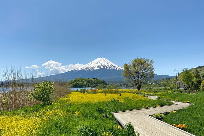 Mt Fuji Half-Day Tour By Car - Inclusions and Services