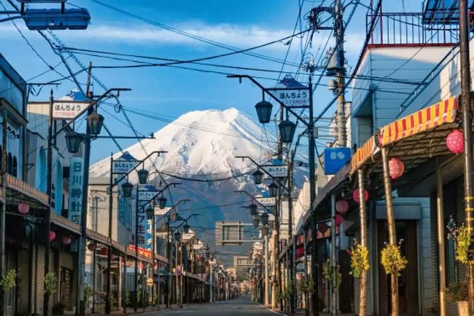 Mt. Fuji Majestic Tours : Shinjuku to Arakurayama and Beyond