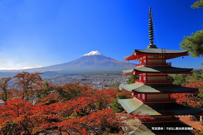 Mt.Fuji, Oishi Park & Arakurayama Sengen Park Bus Tour From Tokyo - Pricing and Value