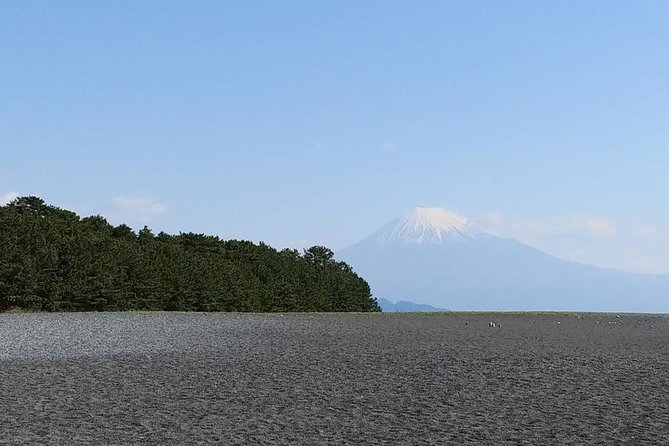 Mt. Fuji, Visit Where All the Japanese People Belong (Chartered Taxi Tour)