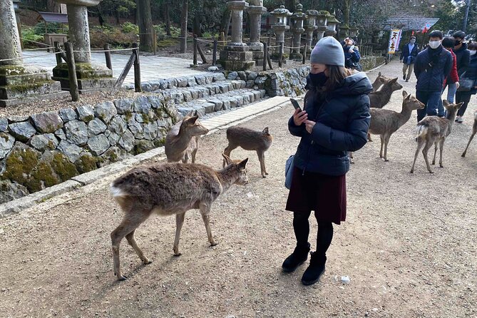 Nara Full-Day Private Tour Osaka/Kyoto Departure With Government-Licensed Guide - Meeting and Pickup