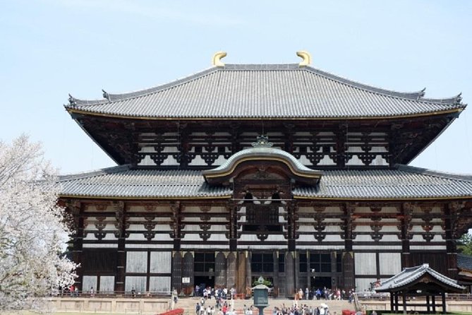 Nara Private Tour by Public Transportation From Osaka - Benefits of Taking a Private Tour in Osaka