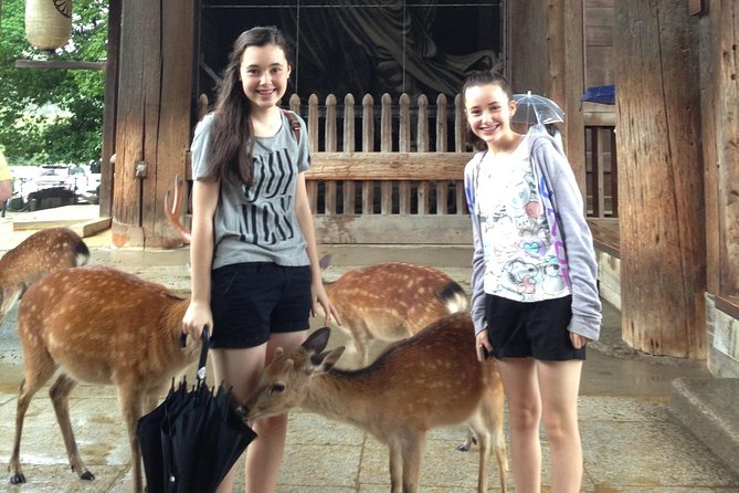 Nara Private Tour (Shore Excursion Available From Osaka or Kobe Port) - Tour Highlights