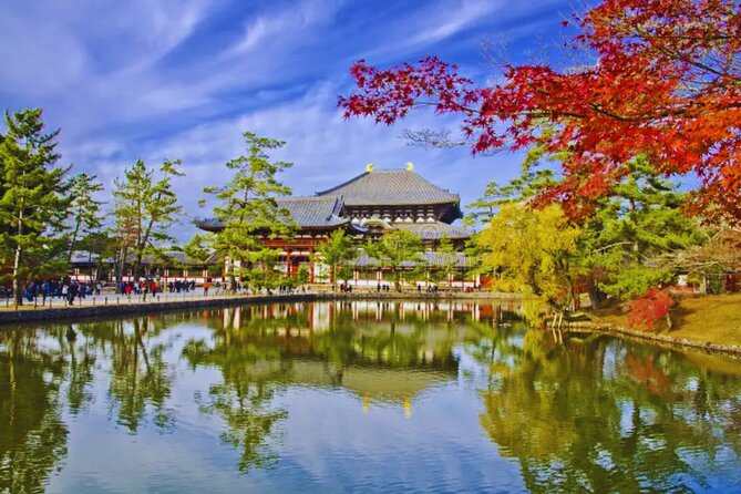 Nara, Todaiji Temple & Kuroshio Market Day BUS Tour From Osaka - Itinerary Overview