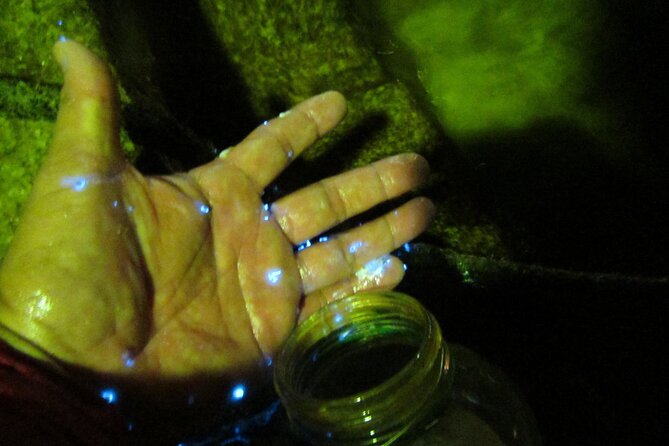 Night Kayak Tour Relax Under the Natural Glow of Sea Fireflies - Cancellation Policy