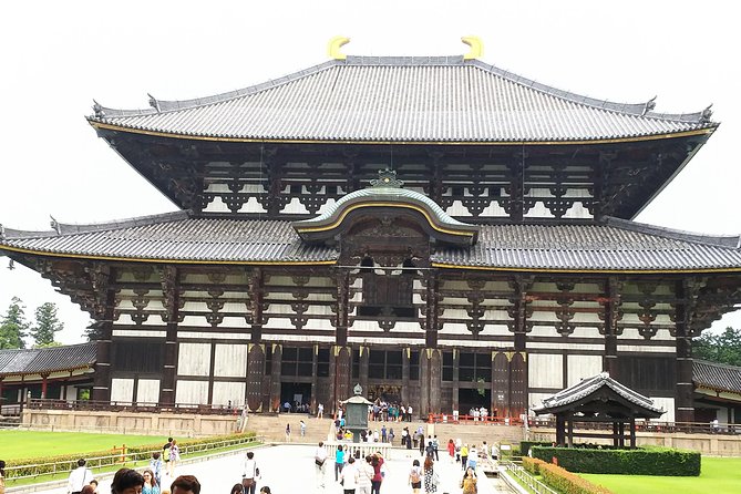 One-Day Tour of Amazing 8th Century Capital Nara - Private Guided Tour
