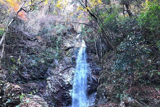 One Day Tour of Tokyos Plentiful Nature in Hinohara Village - Scenic Beauty of Hinohara Village