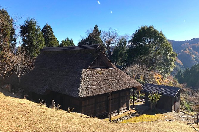 One Day Tour of Tokyos Plentiful Nature in Hinohara Village - Exploring the Beautiful Hinohara Village