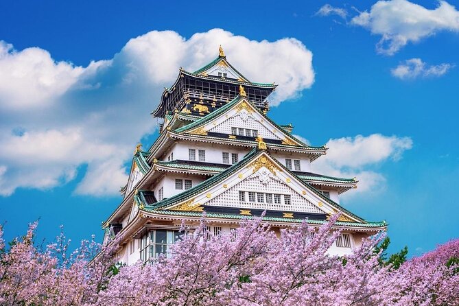 Osaka Cherry Blossom Tour With a Local: 100% Personalized Private - Tour Overview
