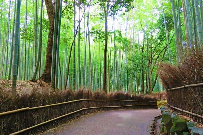 Osaka Departure Kyoto Top 3 Full Day Tour - Insider Tips for Exploring Kyoto