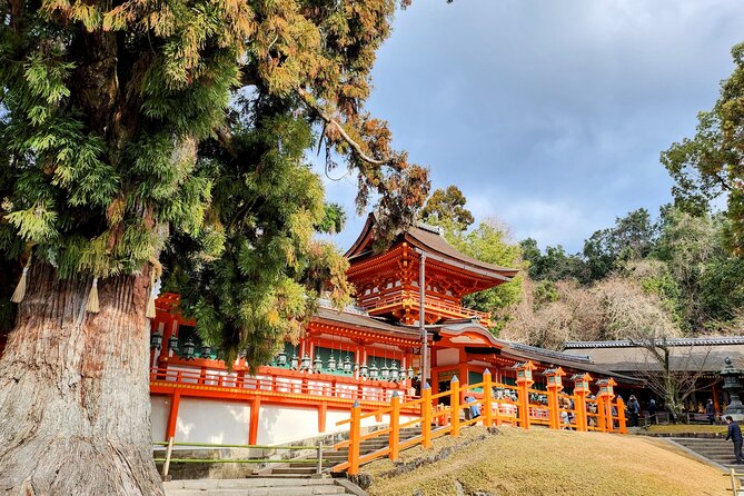 Osaka Departure, Nara Small Group Full Day Tour - Departure Time and Location