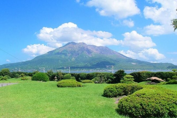 Port Pick-Up: Kagoshima Private Tour Licensed Guide＆ Vehicle